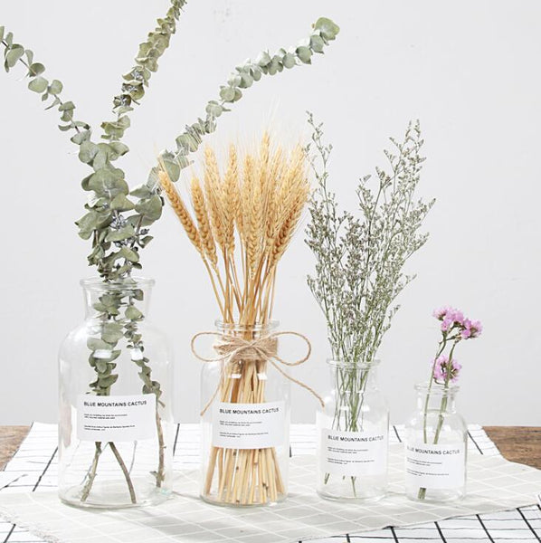 Glass Bottle Vase