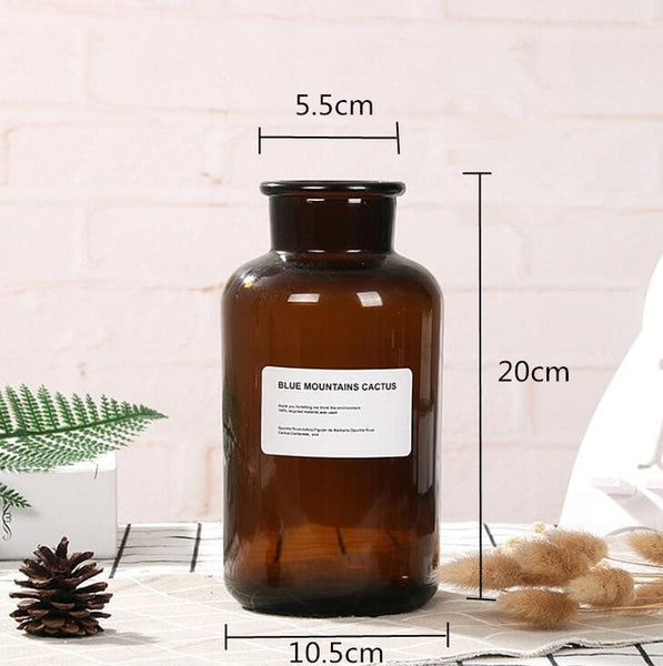 Glass Bottle Vase