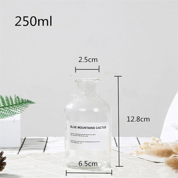 Glass Bottle Vase