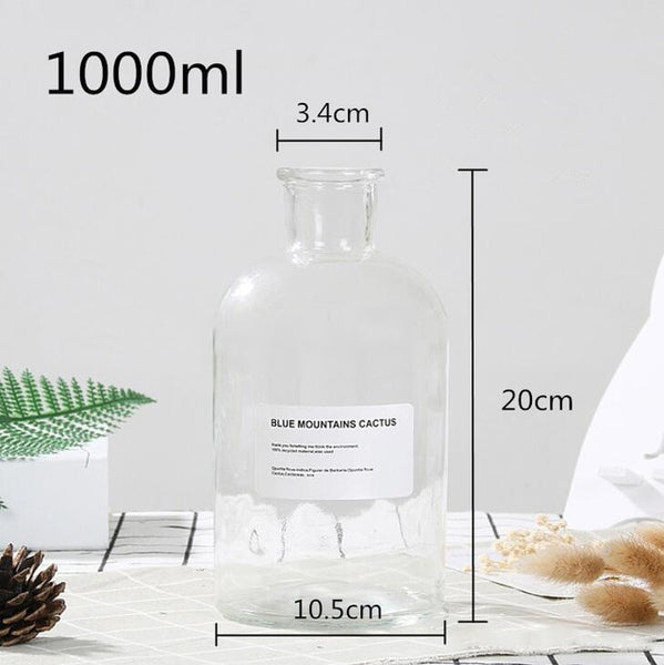 Glass Bottle Vase