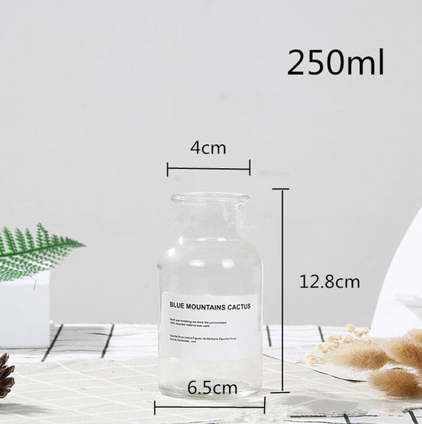 Glass Bottle Vase