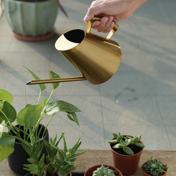 Watering Can