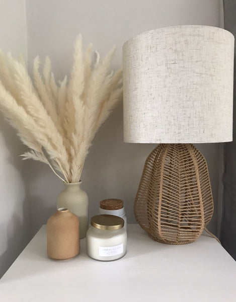 Studio Vase Collection