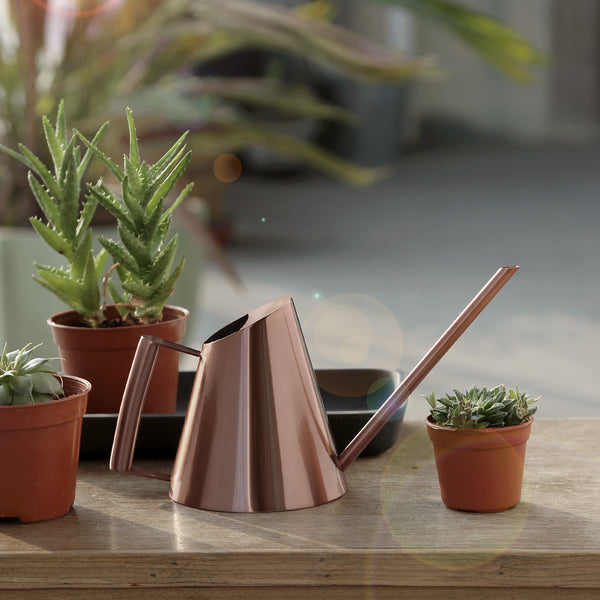 Watering Can