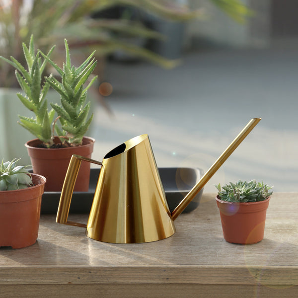 Watering Can