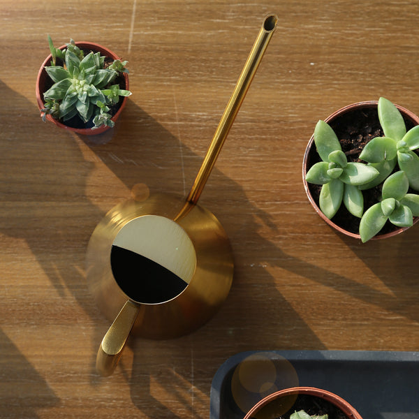 Watering Can